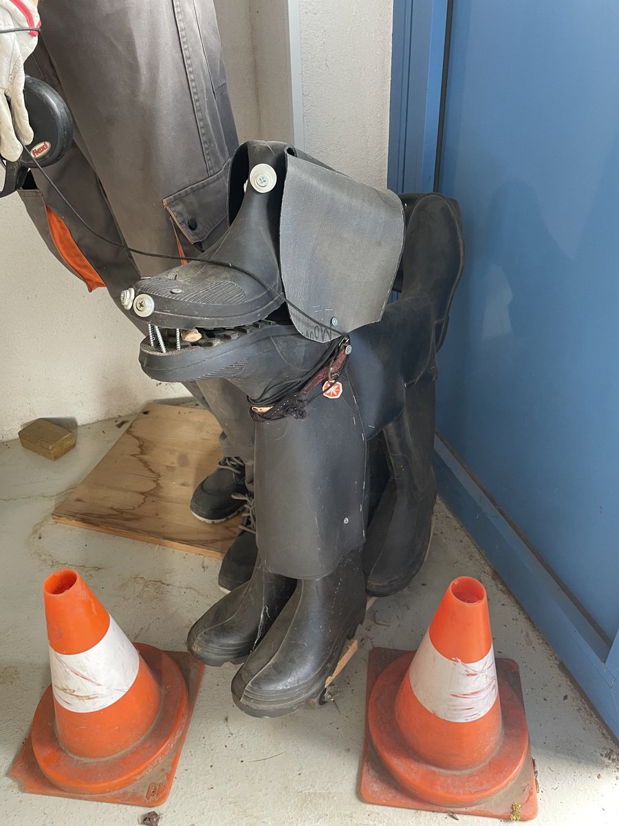 Delphine Raba tweet media