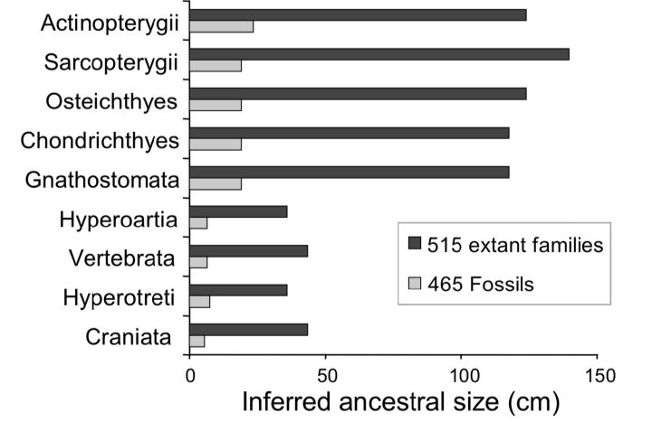 Nothing in evolution makes as much sense as it does in the light of the fossil record. Fossils provide better estimates of ancestral body size than do extant taxa in fishes. 

scholar.google.com/scholar?hl=en&…