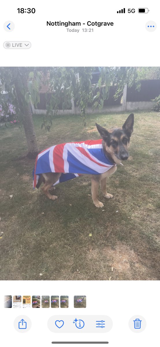 Try taking that down 😂