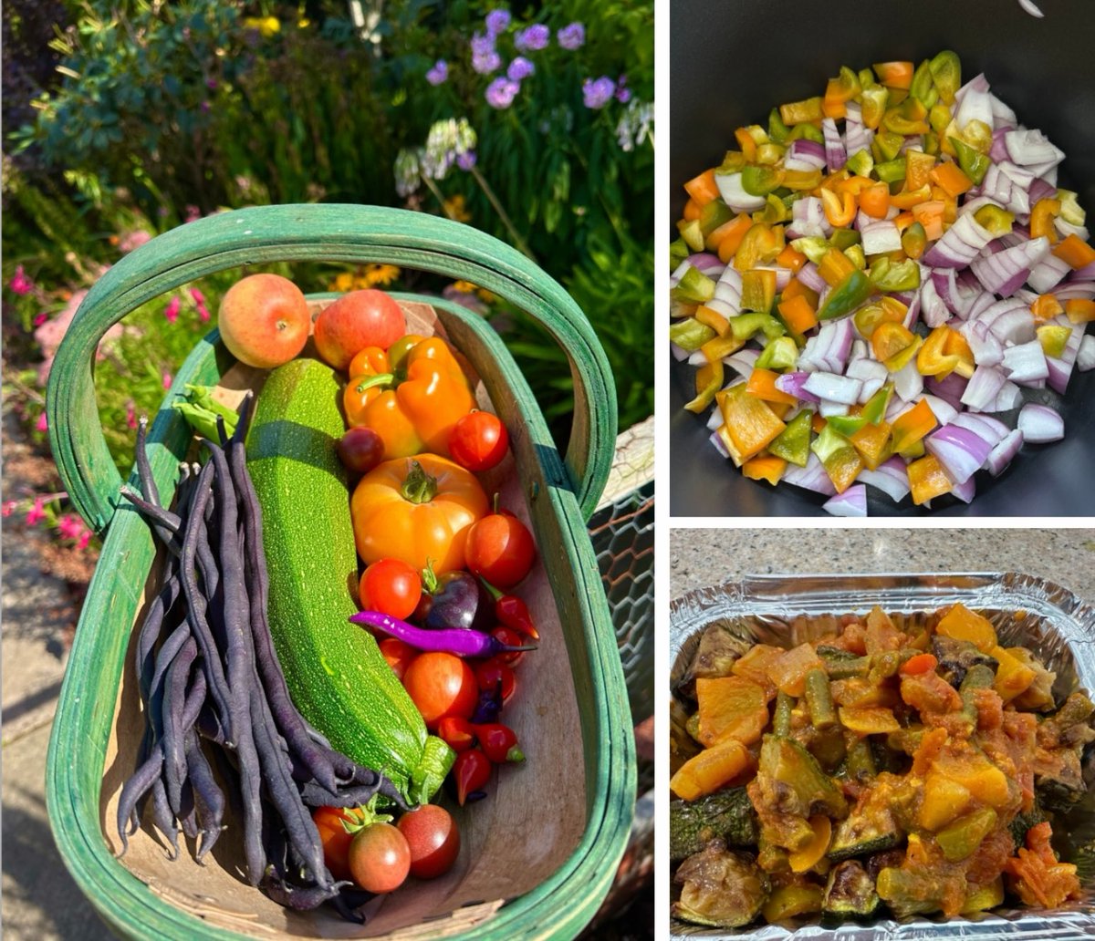 PotteringPolly's tweet image. What would you make with this trug full? 🫑🍅🥒🌶️🧅
In our house it only means one thing….. Curry!!! 🍛 
#curry #Homegrown #scratchcooking #kitchengarden