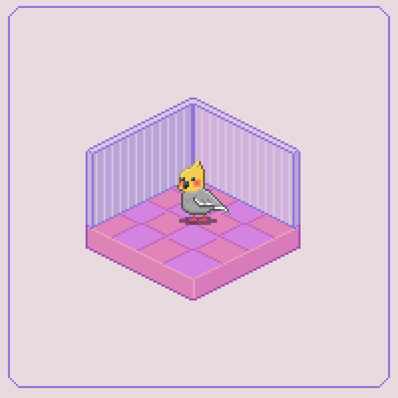 Bar Eliya 💕🦜 tweet media