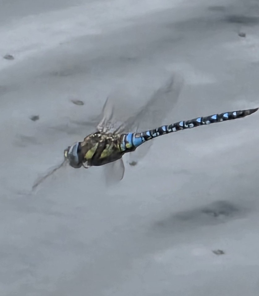 Steve Walker tweet media