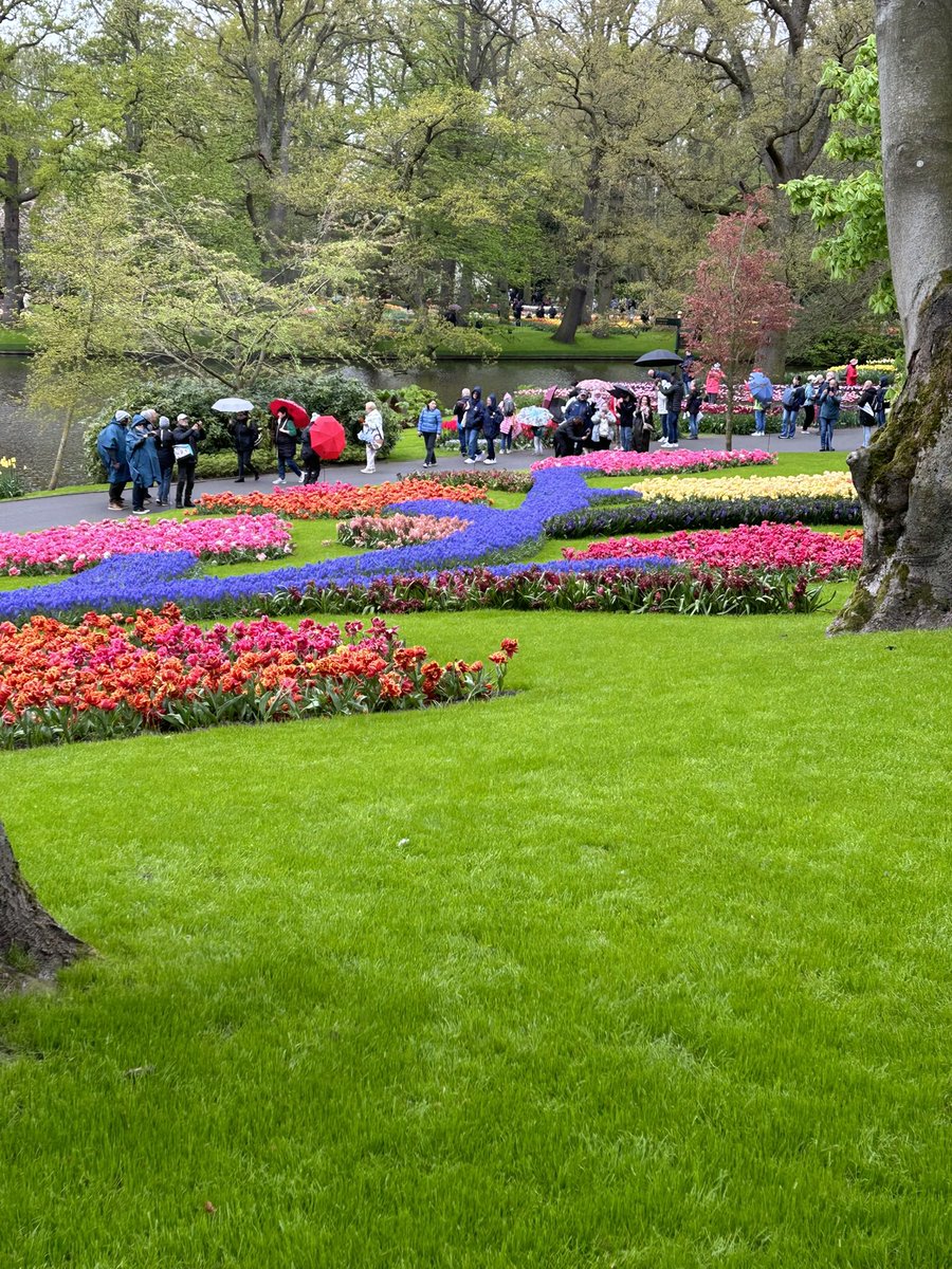michaelgwarren's tweet photo. @visitkeukenhof if you can. Pictures don’t capture the full beauty. A lot of work to only be open 8 weeks a year. Like writing a book that might not be read by many. #Write it anyway! Have a great Monday! #WritersCommunity @WriterCommunity #IndieAuthors #FictionNovel #Tulips https://t.co/Nk32f8vTan