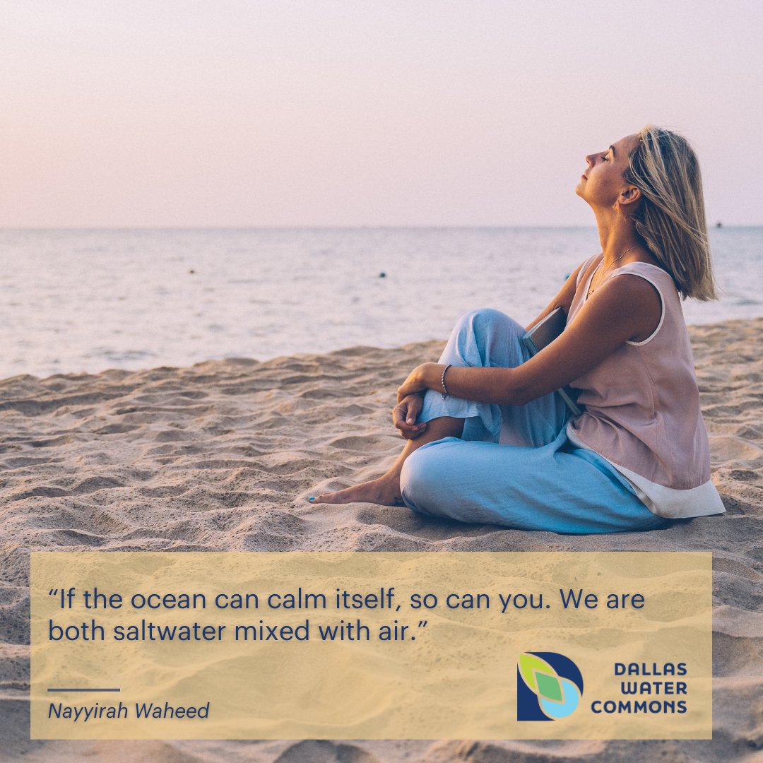 #WaterPonderings #DallasWaterCommons #DallasCommons #TheCommons #education #citypark #waterconservation #Sustainability #environment #wetlands #urbanplanning #Parks #DallasParksCoalition #waterlab #urbanwater #nature #NatureOfUrbanWater #TexasRunsOnWater