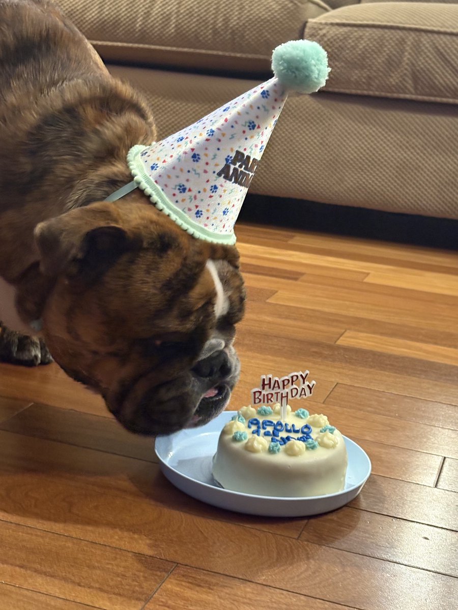 Jonathan Moser tweet media