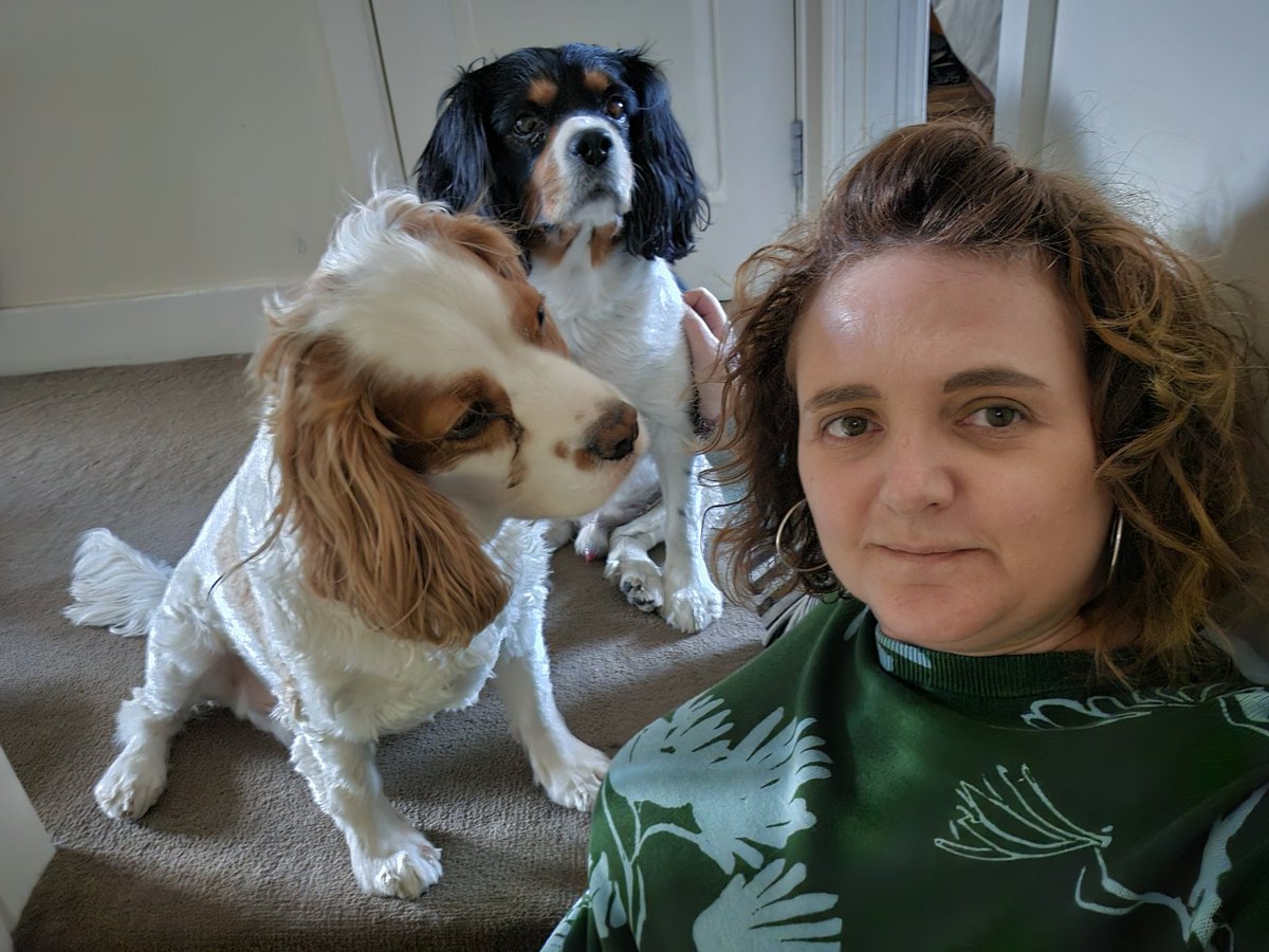 Jo ❤🐾🐾❤ tweet media