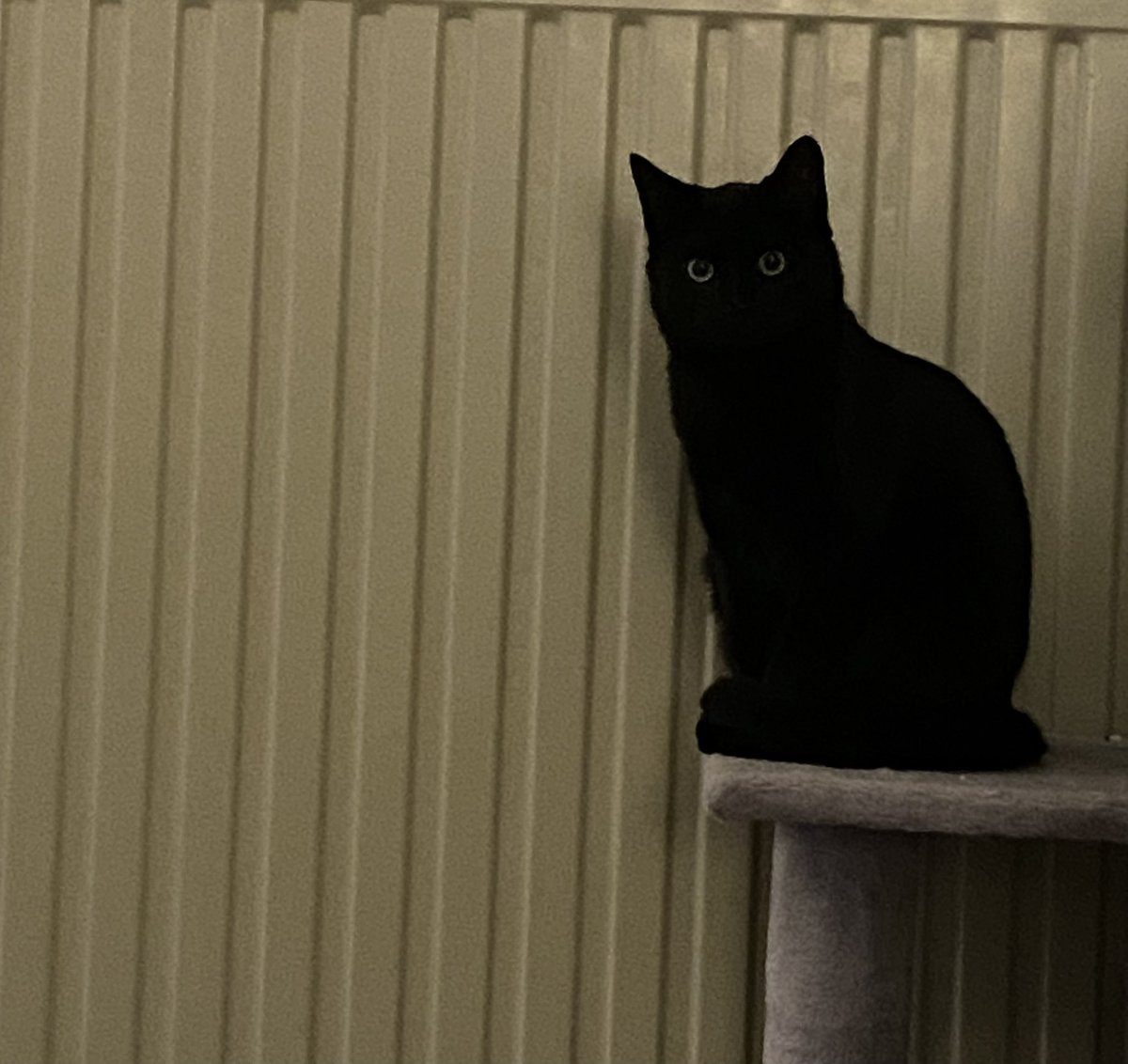 🦋💕🙄 tweet media