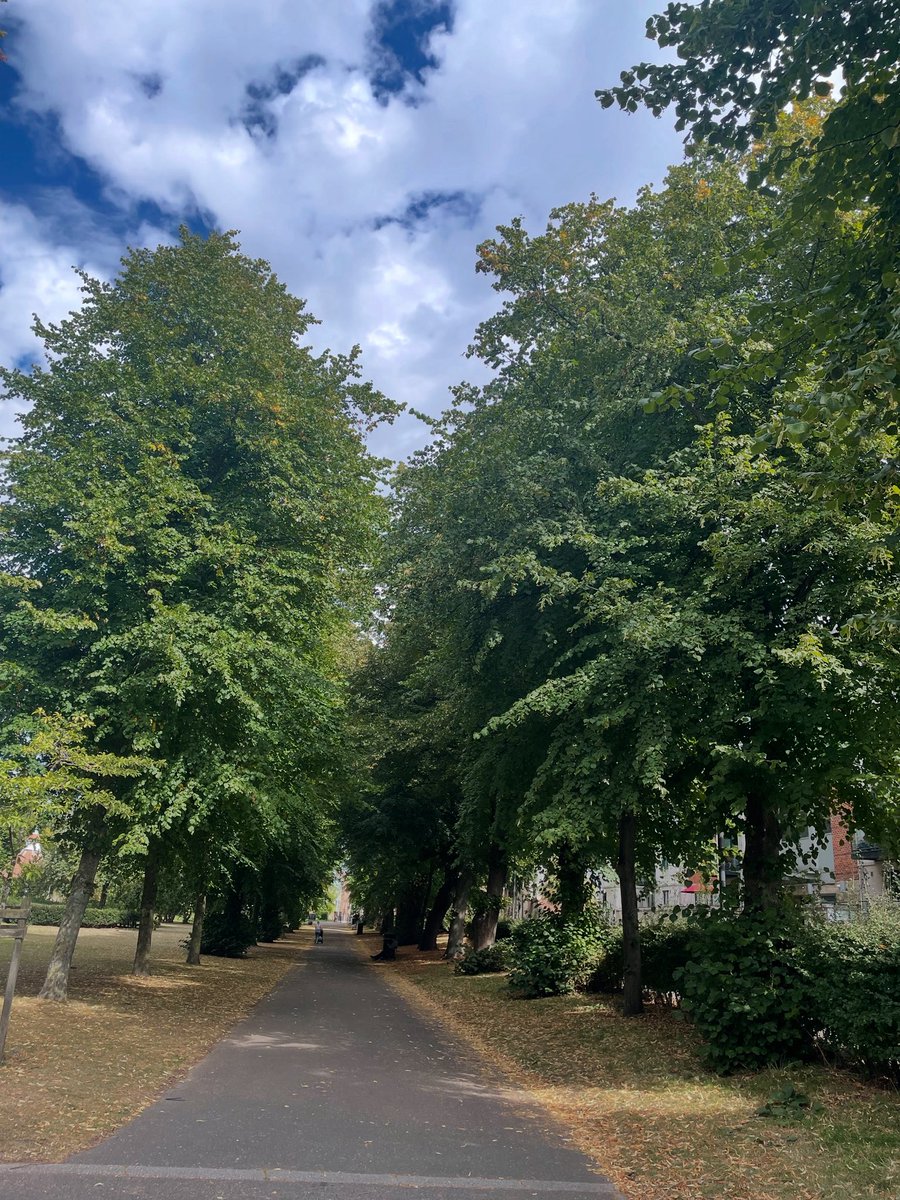 Happy 1st of September 🍂🍁

Welcome to a new month! 

Welcome to the -ber months!

What are your plans for the next 30 days? 

What are your goals for your business?

#SelfCareSeptember #SocialMediaGoals