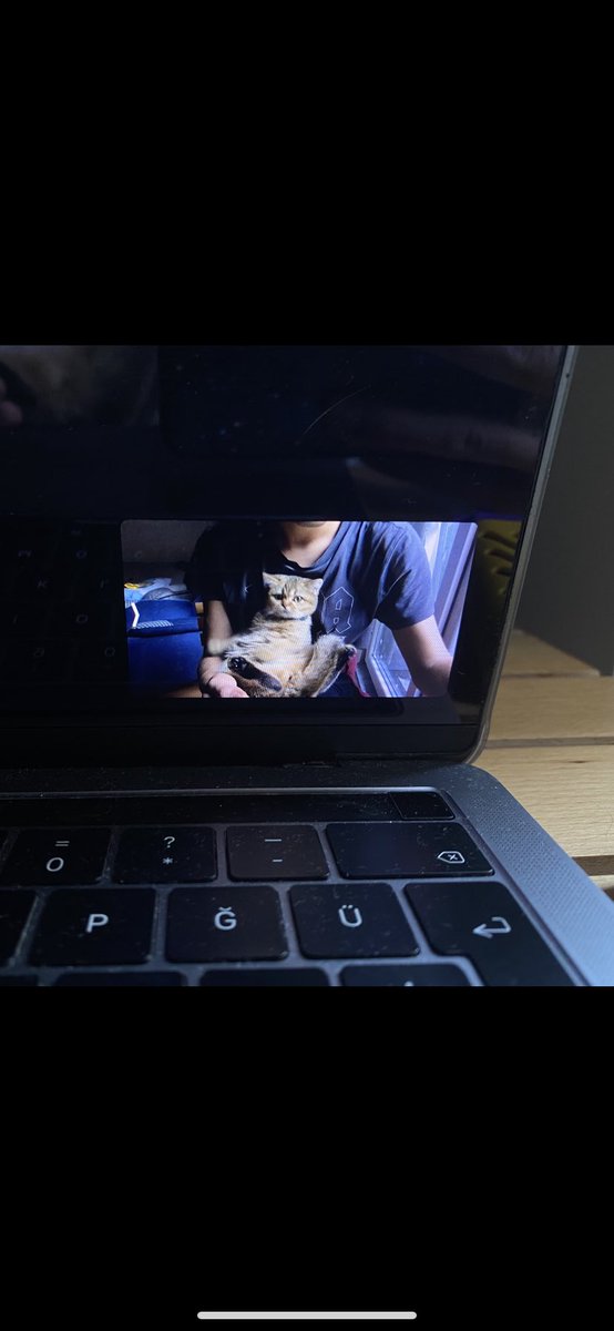 virtualdmitri's tweet image. My little cutie