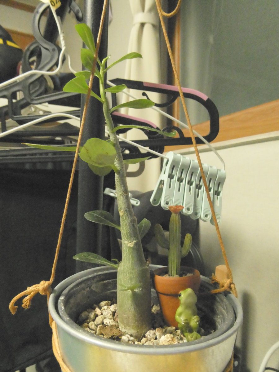 Peaceyj[P-4] (@peaceyj418) on Twitter photo 