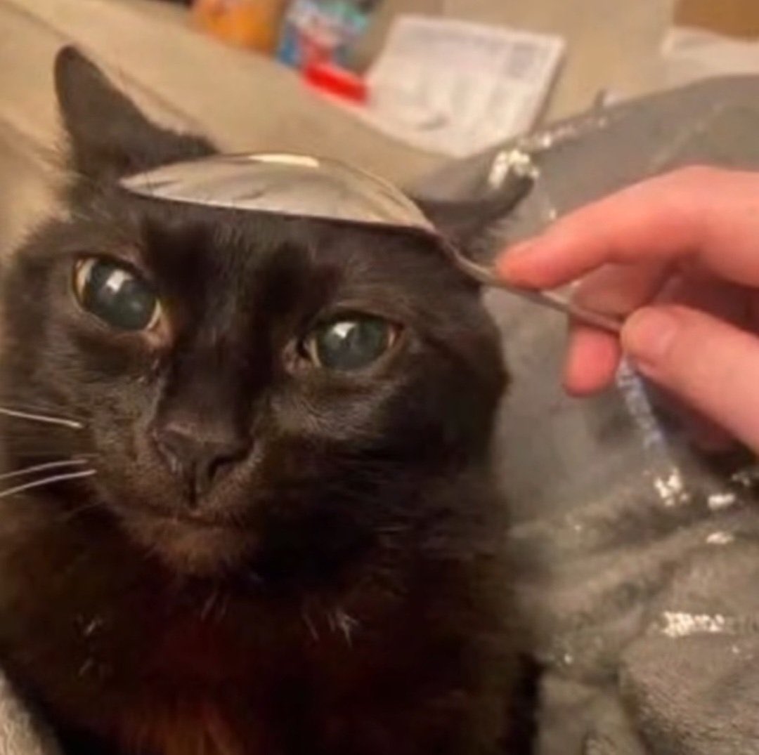 how ive been feeling lately