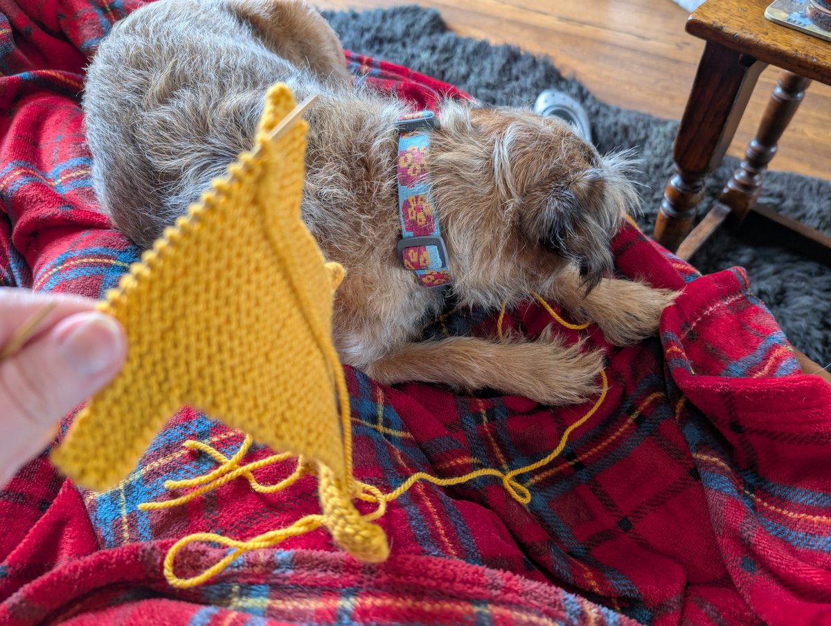 BonnieBooBT's tweet image. Mum says lying on the wool is not helpful. #NotBothered😈 #btposse