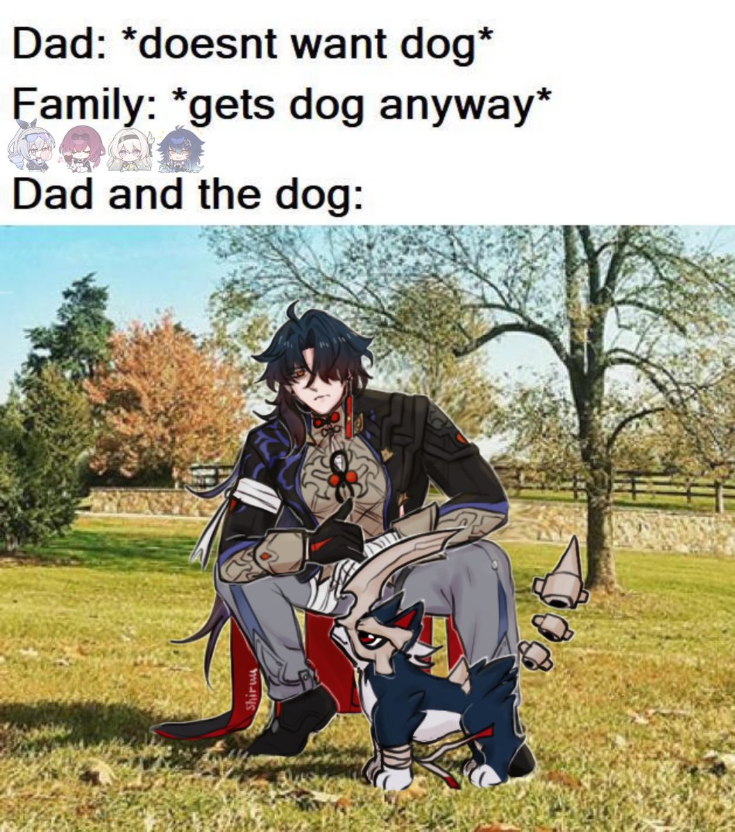 Shiruu ✦ tweet media