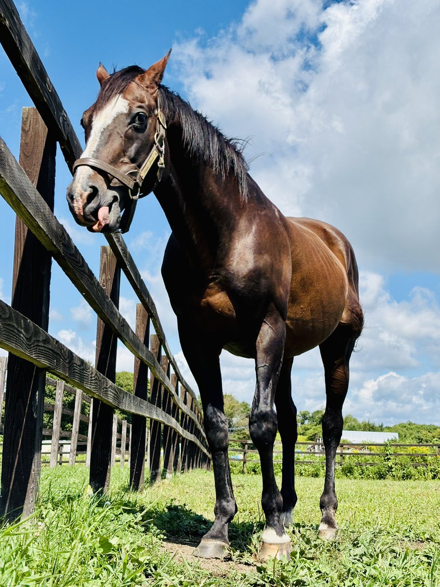 Moonlight Diva (@heroesstardust) / X