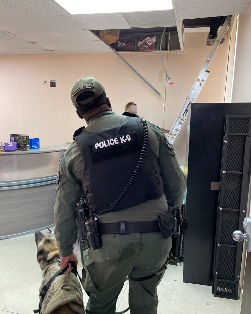 Libs of TikTok tweet media