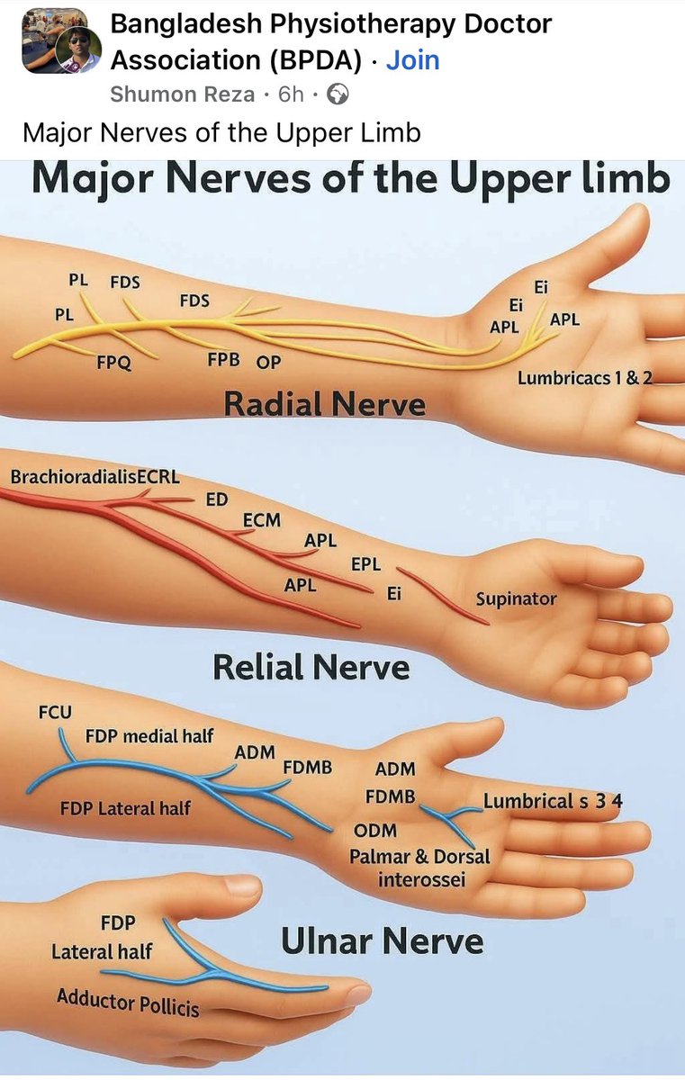 Open access online physiotherapy education 2025. 44k followers.

It’s only going to get worse
