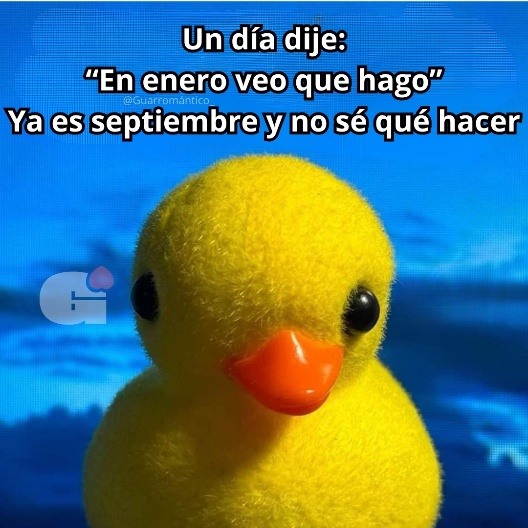 Guarromantico_'s tweet photo. Así andamos. https://t.co/u9S2qGhtom