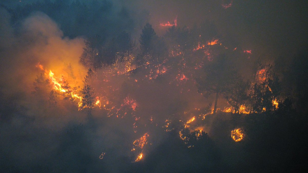 Karabük'teki orman yangınıyla ilgili 5 Afgan gözaltına alındı. (İHA)