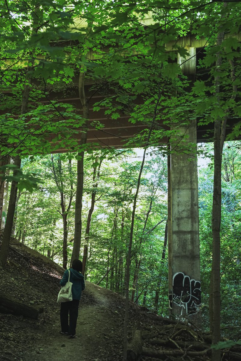 the more the marion (@noiramjacque) on Twitter photo 