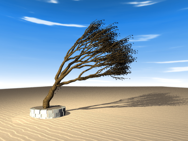 Lone Tree, by René Smellenbergh (1999)
