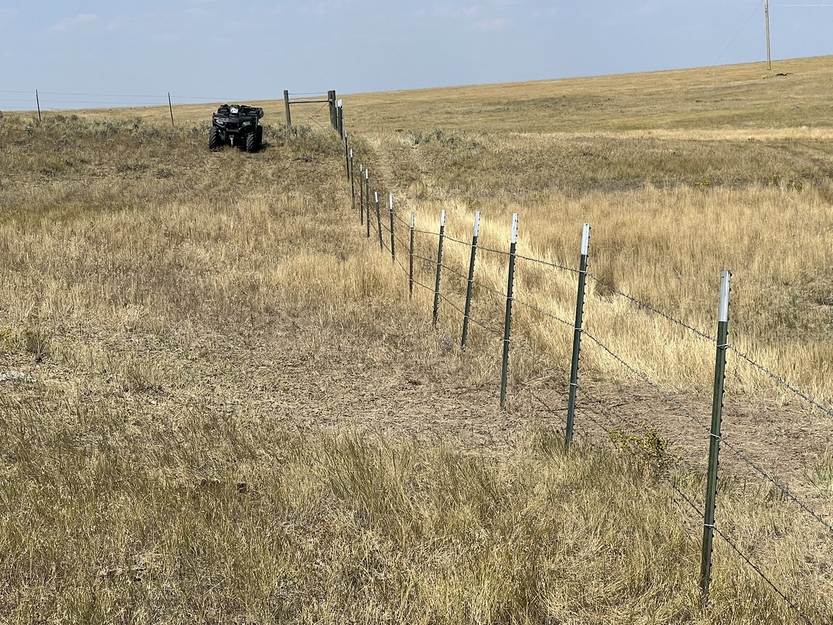 techsteaderr's tweet image. Tight lines means a break from drone cow herding. ❤️
