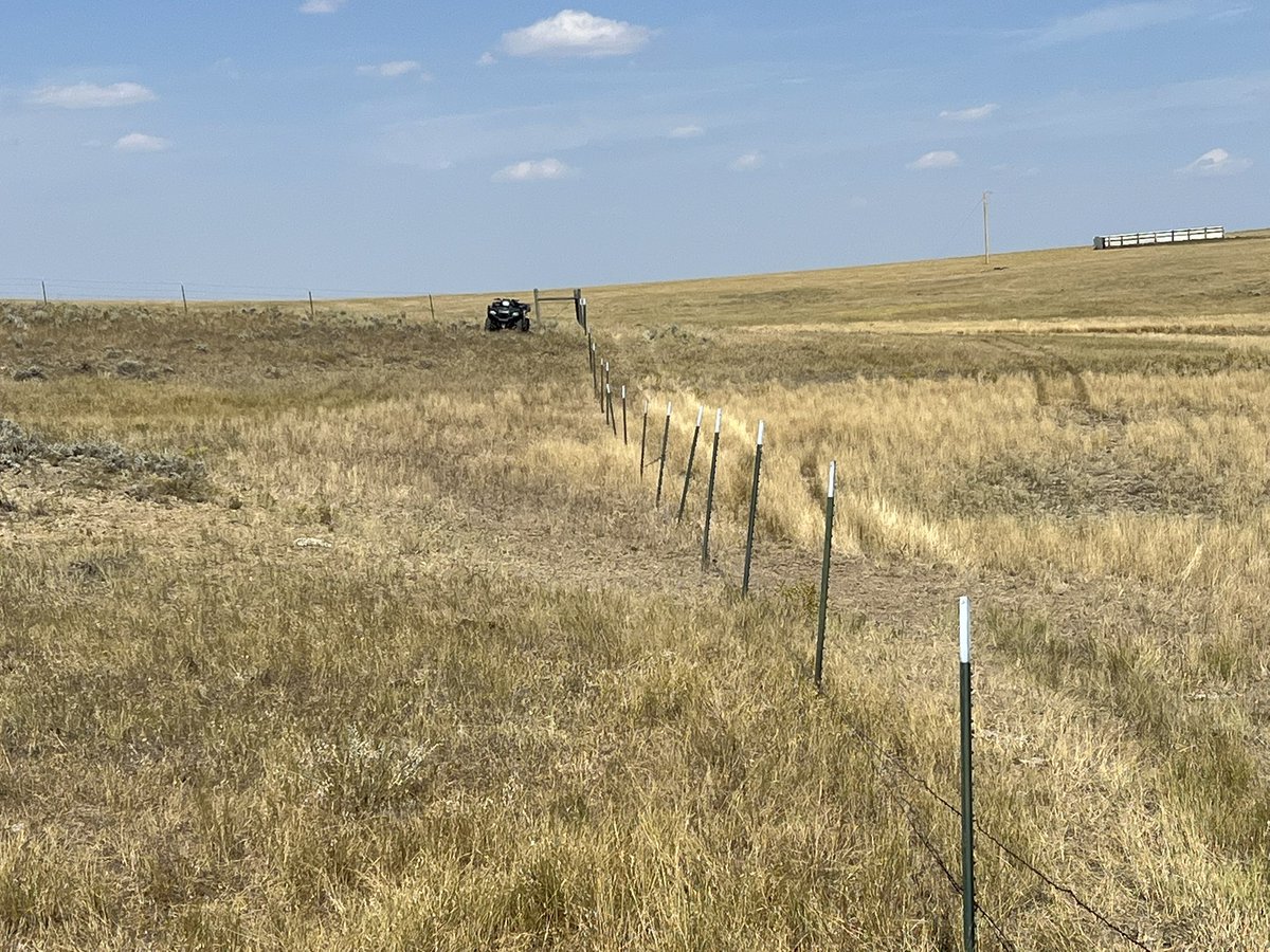 techsteaderr's tweet image. Tight lines means a break from drone cow herding. ❤️