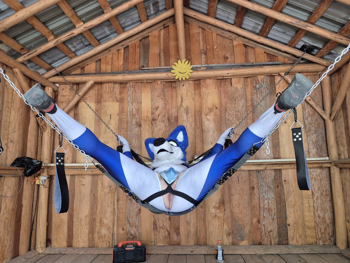 Where are my tops at!? Wolfie needs his bones!
#murrsuitmonday #murrsuitsmonday #murrsuit