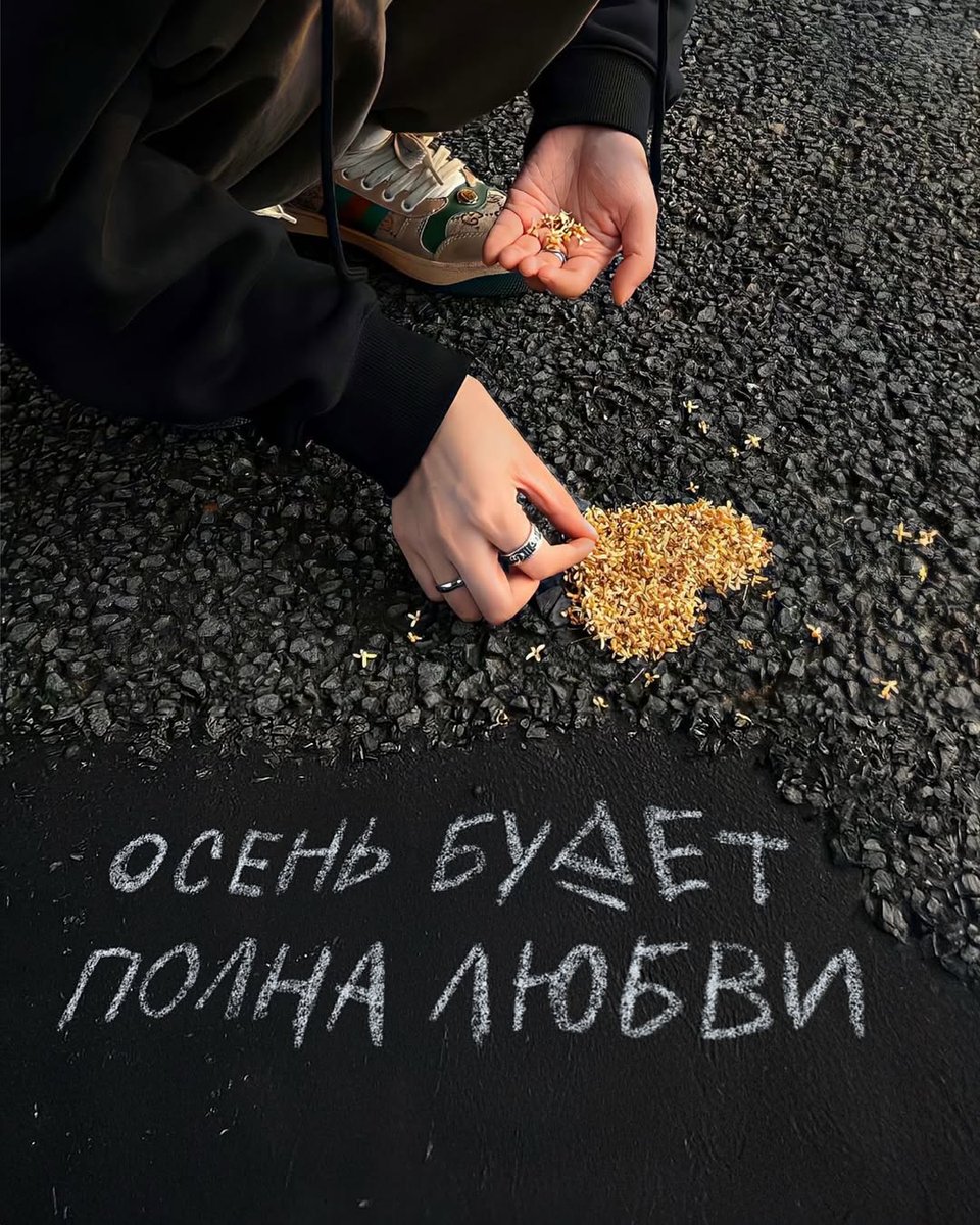 Bear & Bees (@bearnbees) on Twitter photo 