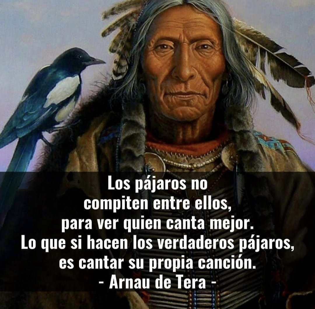 Arnau de Tera (@arnautera) on Twitter photo 