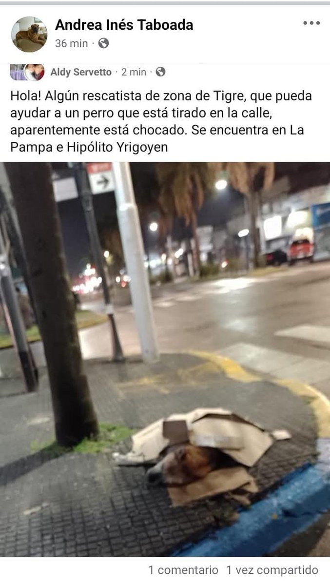 RaquelMait's tweet photo. Sos Tigre AYUDA PARA ESTE PERRITO CHOCADO 
@AlmasDeLaCalle 
@polaco_adrian 
@Atenea34921155 
@ComoNoAdorarlos 
@tari12345 
@BontCris 
@peludospeques3 
@AbrilGo93588411 
@luciafolini 
@protegealanimal 
@MarianoOses 
@tari12345 
@misuperamigo 
@Gaby_Gege 
@grace_luca 
@Bichuok1 https://t.co/Z5IzIxebSe