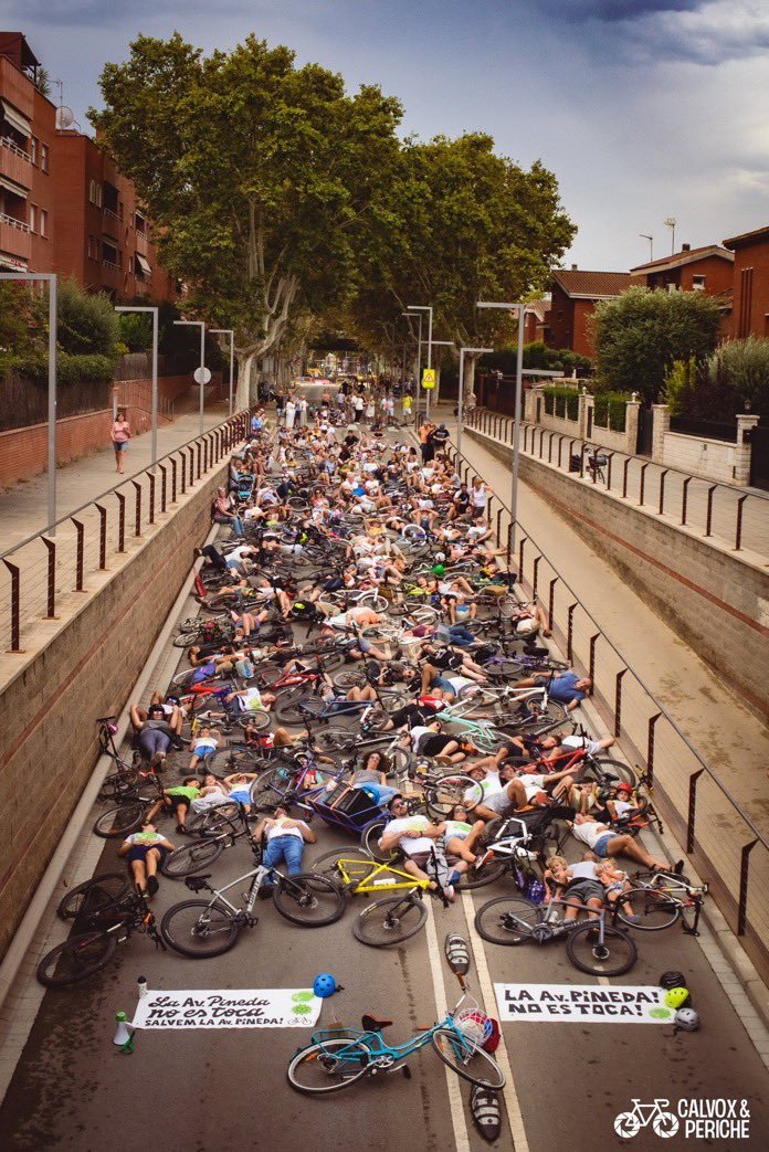 salvemavpineda's tweet photo. Ara fa un any de la #fotoprotesta històrica de #LAvPinedaNoEsToca❗️✊
La lluita continua.
La justícia dictarà sentencia sobre l’eliminació del carril bici.
📸 @Calvox_Periche 👀 https://t.co/WhAvJj3K25