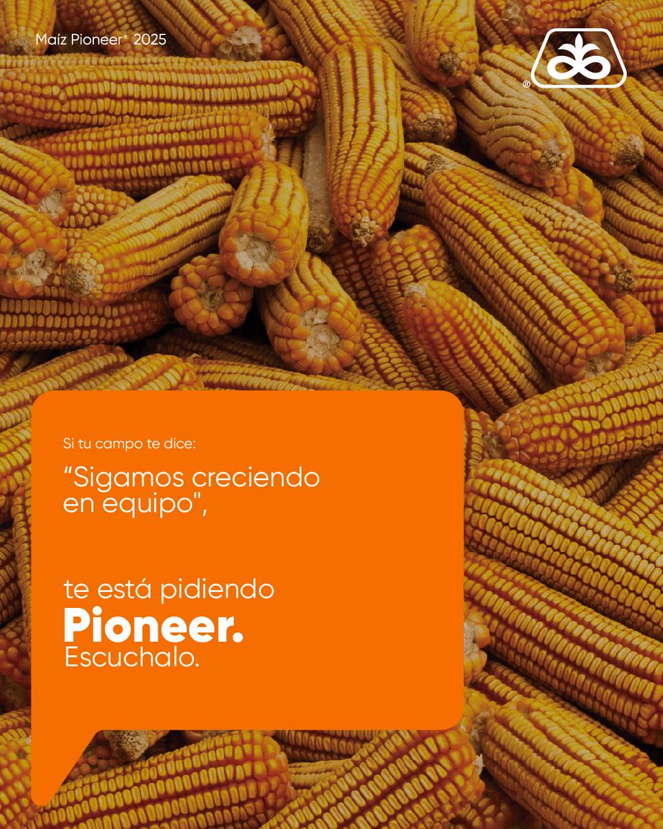 Pioneer te acompaña en cada etapa de tu crecimiento productivo. Si tu campo te pide un buen equipo, te pide Pioneer. Escuchalo.