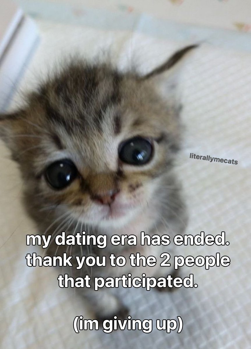 LiterallyMeCats (@literallymecats) on Twitter photo 