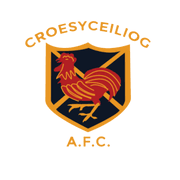 ConsBravoDarts's tweet photo. 📣 Sponsorship News!

@ConsBravoDarts are proud to announce for the upcoming season we will be sponsoring @croesyafc #Under13s Football Team. 🫱🏻‍🫲🏼

#GivingBackToTheCommunity 

@CwmbranLife https://t.co/IX2JoRgMrR