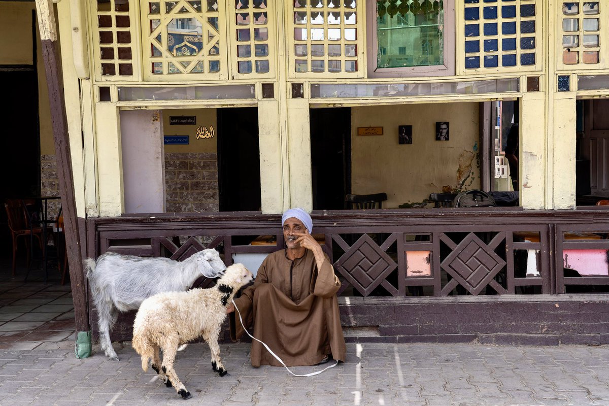 ylmz_mstf34's tweet image. Hurgada-MISIR
