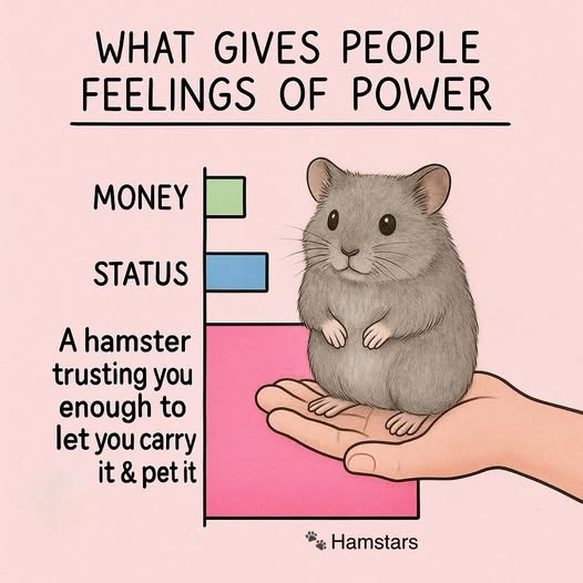 LibrarianFella's tweet image. 