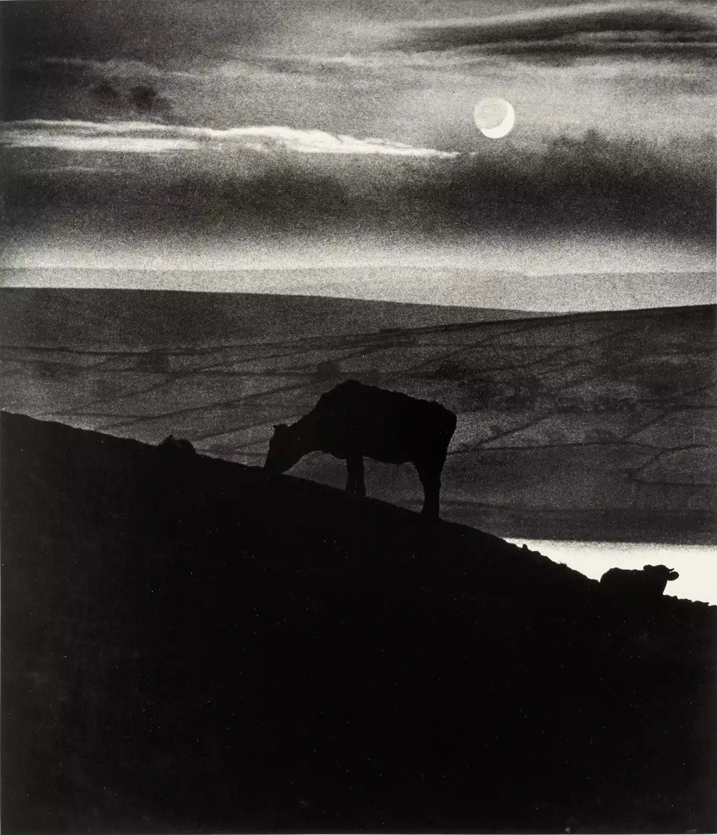 Bill Brandt #photography 
Oakworth Moor, Yorkshire, 1944-printed early 1970s