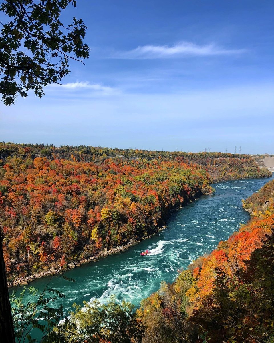 I_LOVE_NY's tweet photo. Your guide to when &amp; where to see NY’s fall foliage is here 🍂: https://t.co/vrBZ7lOD8S

1. 📸: @driz5 / 📍 Niagara Gorge
2. 📸: @leahjohanna_ / 📍 Allegany State Park https://t.co/RyNoonAAA6