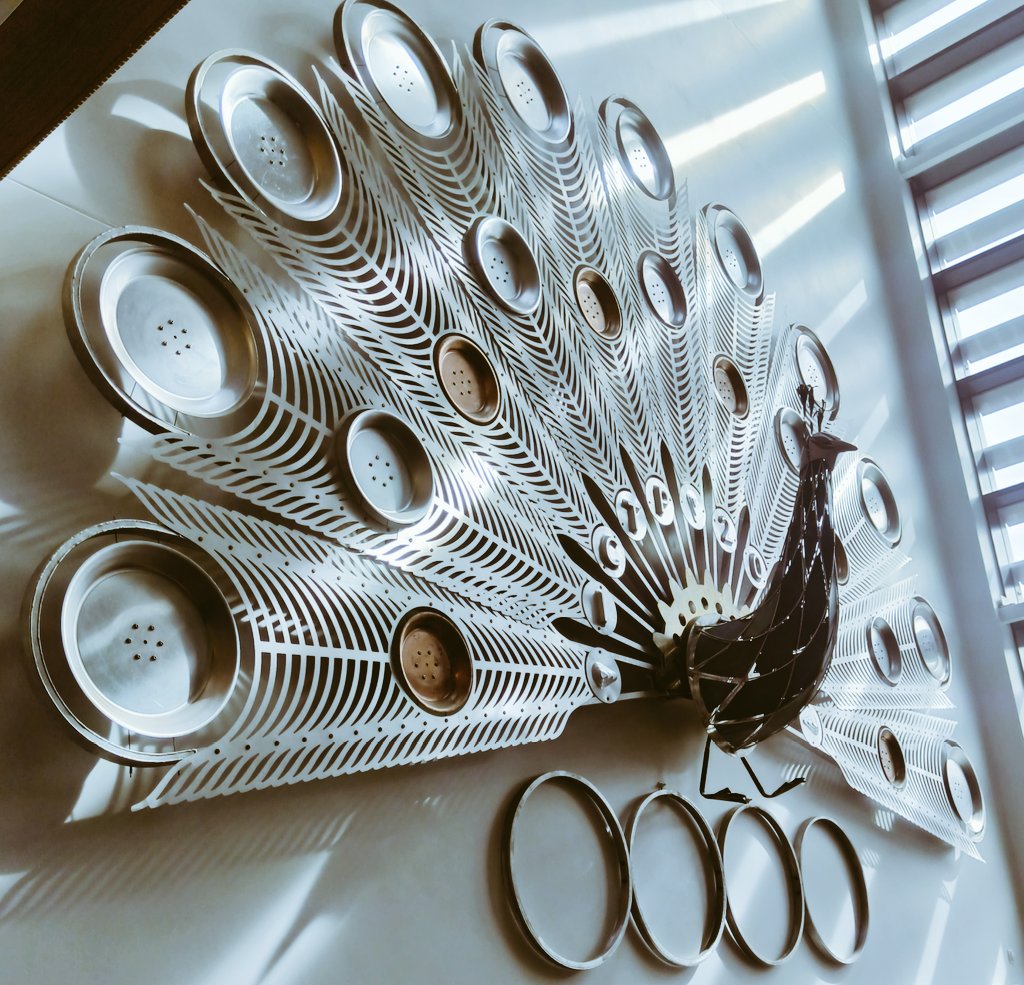 The big 10!!

Happy anniversary! 

Full bloom season.