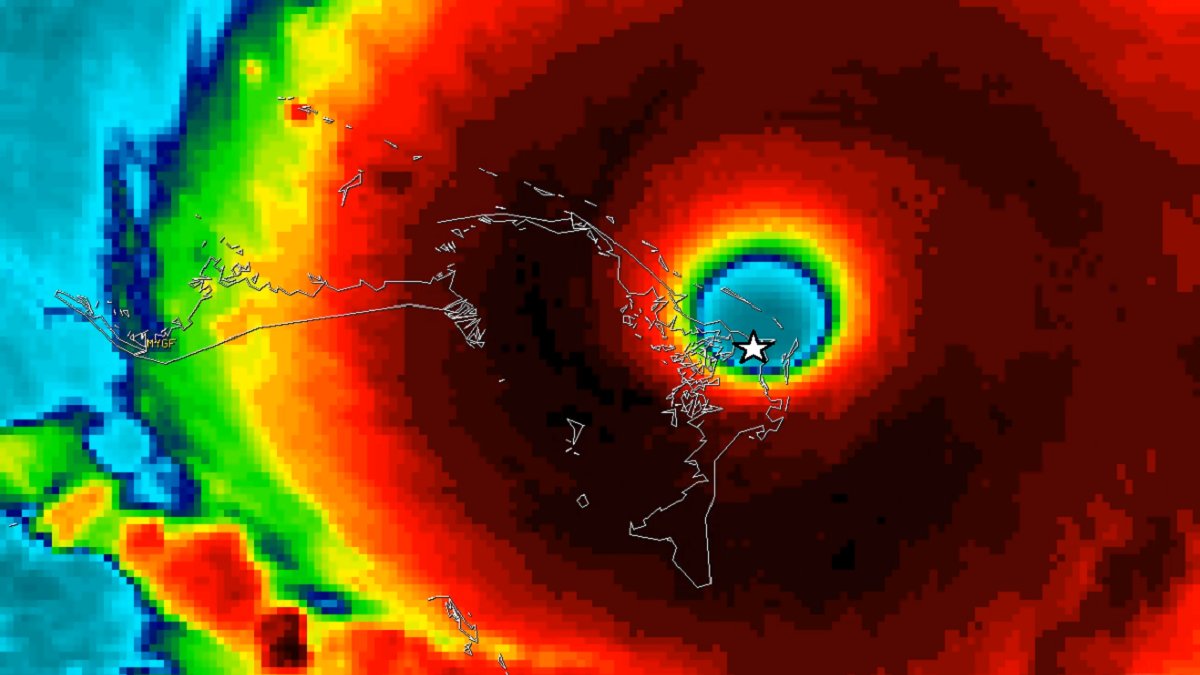 Josh Morgerman tweet media