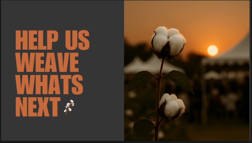 Mr_Black_Cotton's tweet photo. As we celebrate Labor Day, i just want to think about Fall. Have you ever walked through endless white fields that look like clouds touched th earth? If you want that feeling, join me at the Fabric of US cotton field event at my farm in November. #cottonfields #naturevibes https://t.co/YNoZWEkFer