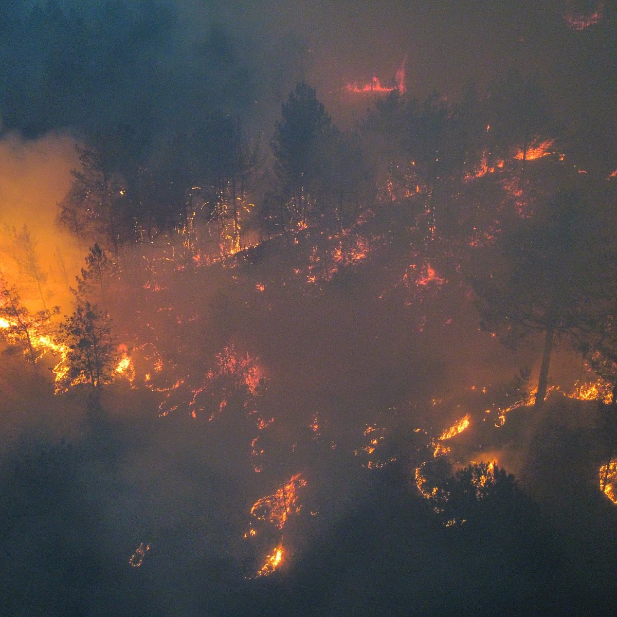 Kastamonu ve Karabük maalesef çok kötü durumda, cayır cayır ormanlar yok oluyor. Lütfen paylaşım desteği verip gündemde tutar mısınız? #KastamonuYanıyor #KarabükYanıyor