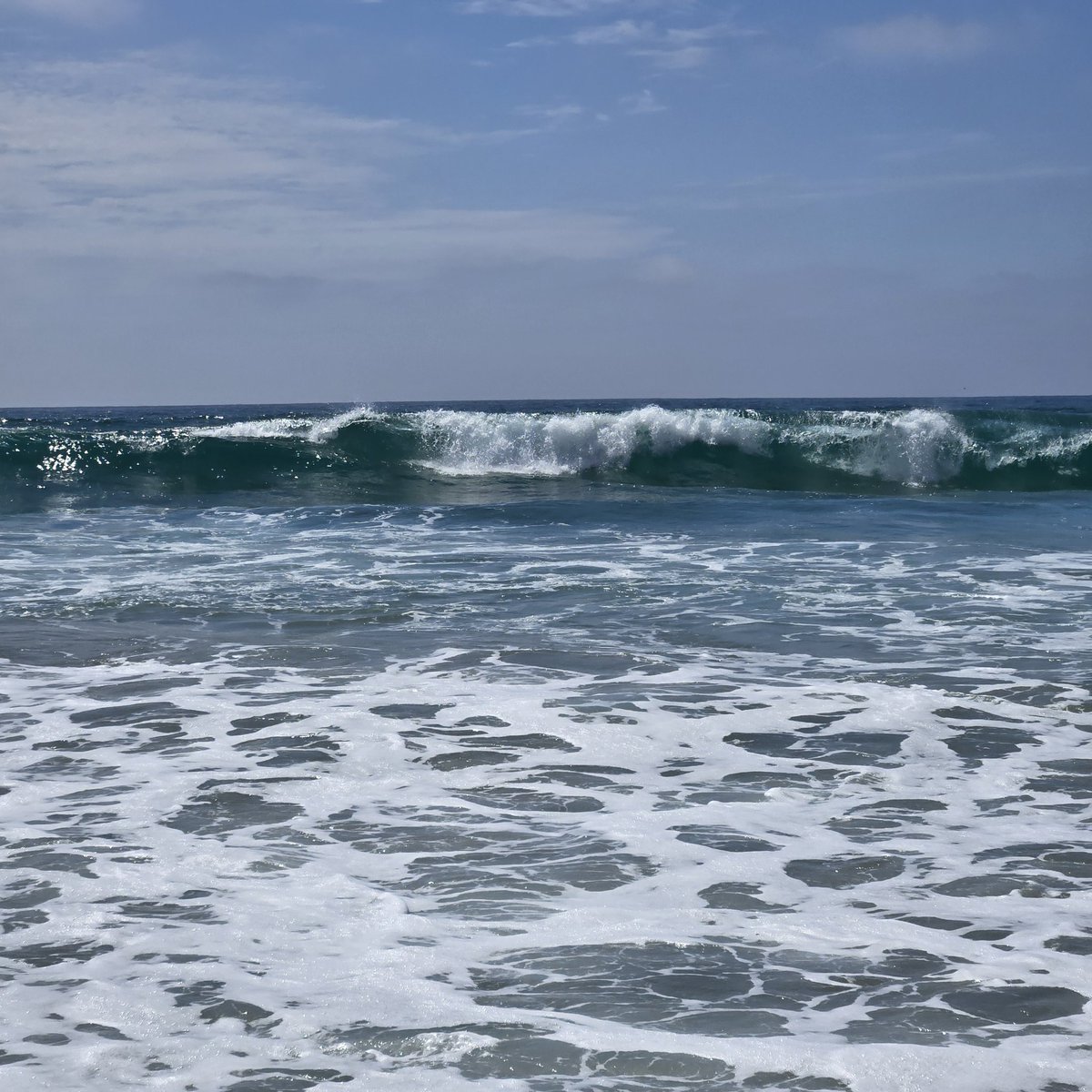 OneFomoJoe tweet media