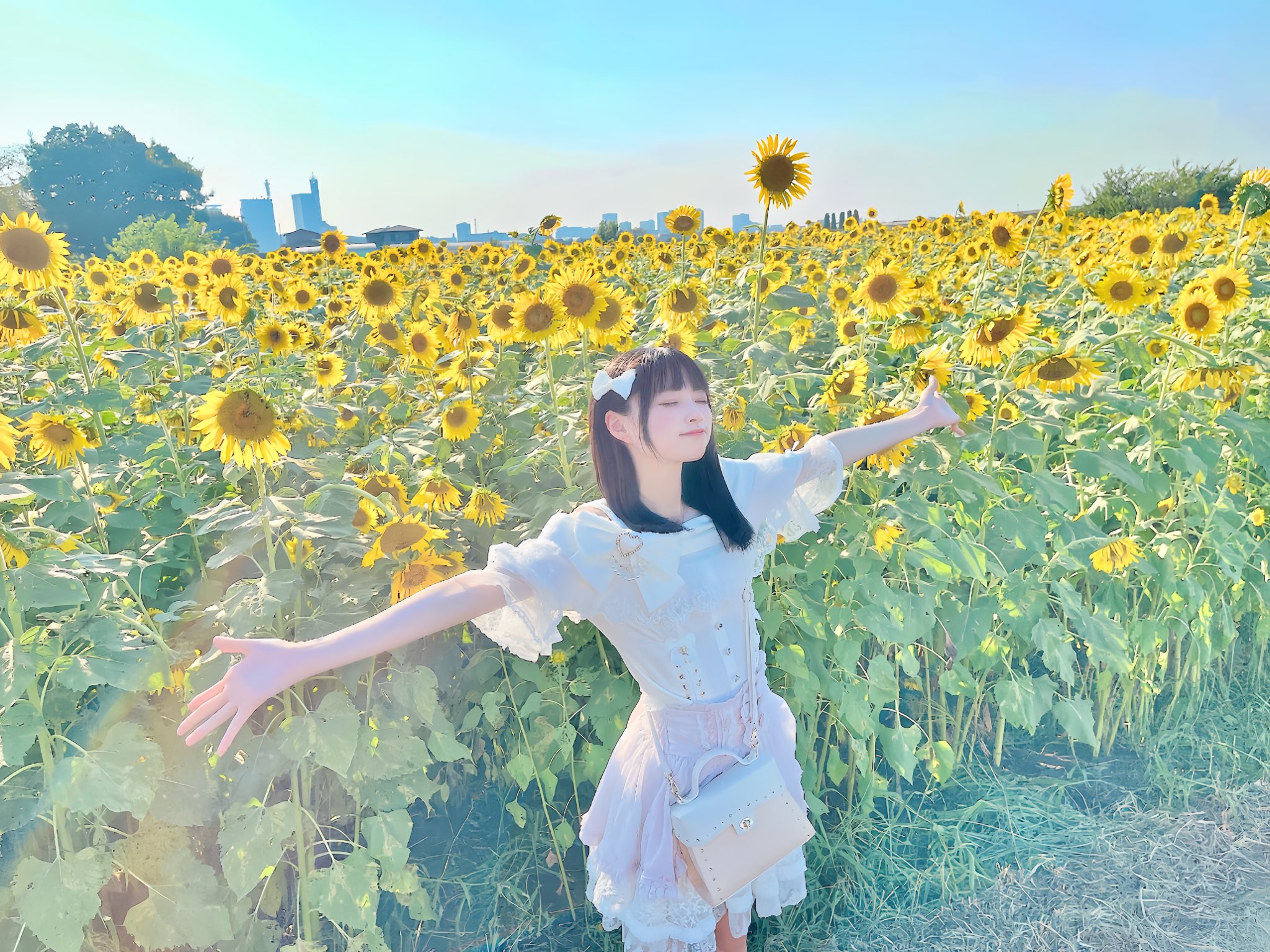 ✼ こたりく ✼　ひまわり 他 惜別の向日葵 (Sekibetsu no Himawari) | Vocaloid Wiki | Fandom