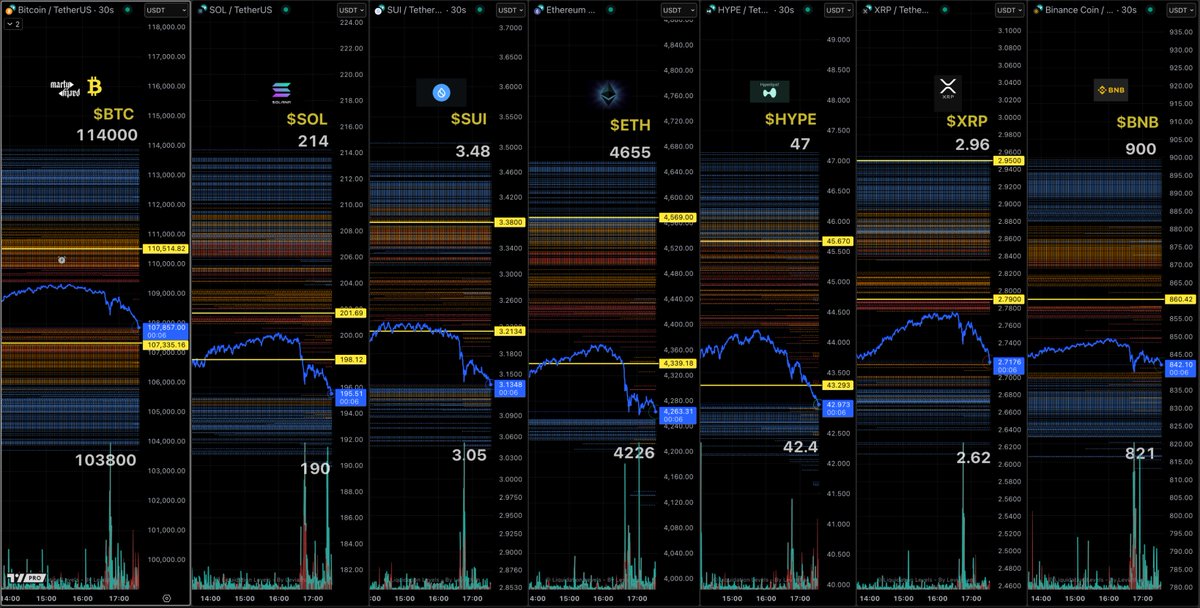 Screenshot of crypto liquidation levels for BTC, SOL, SUI, ETH, HYPE, XRP, and BNB shared by MartyParty