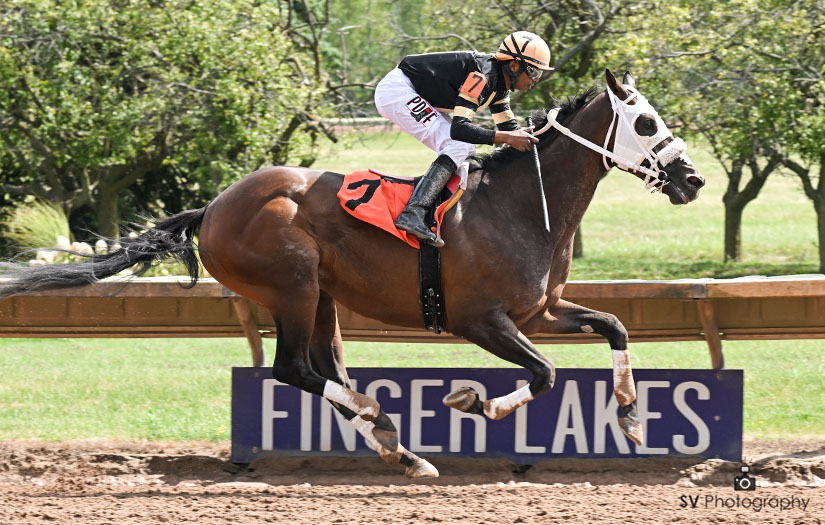 We thank all that came out for Labor day at the races. It was a great day indeed. We move on to Tuesday with another 9 races on tap tomorrow. First post is 1:00 pm. Tuesdays Equibase program can be found below. 
equibase.com/content/Custom…
