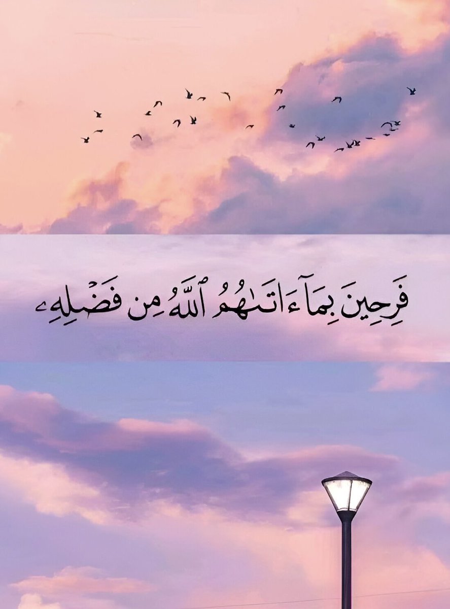 ريشة رسام (@zli__) on Twitter photo 