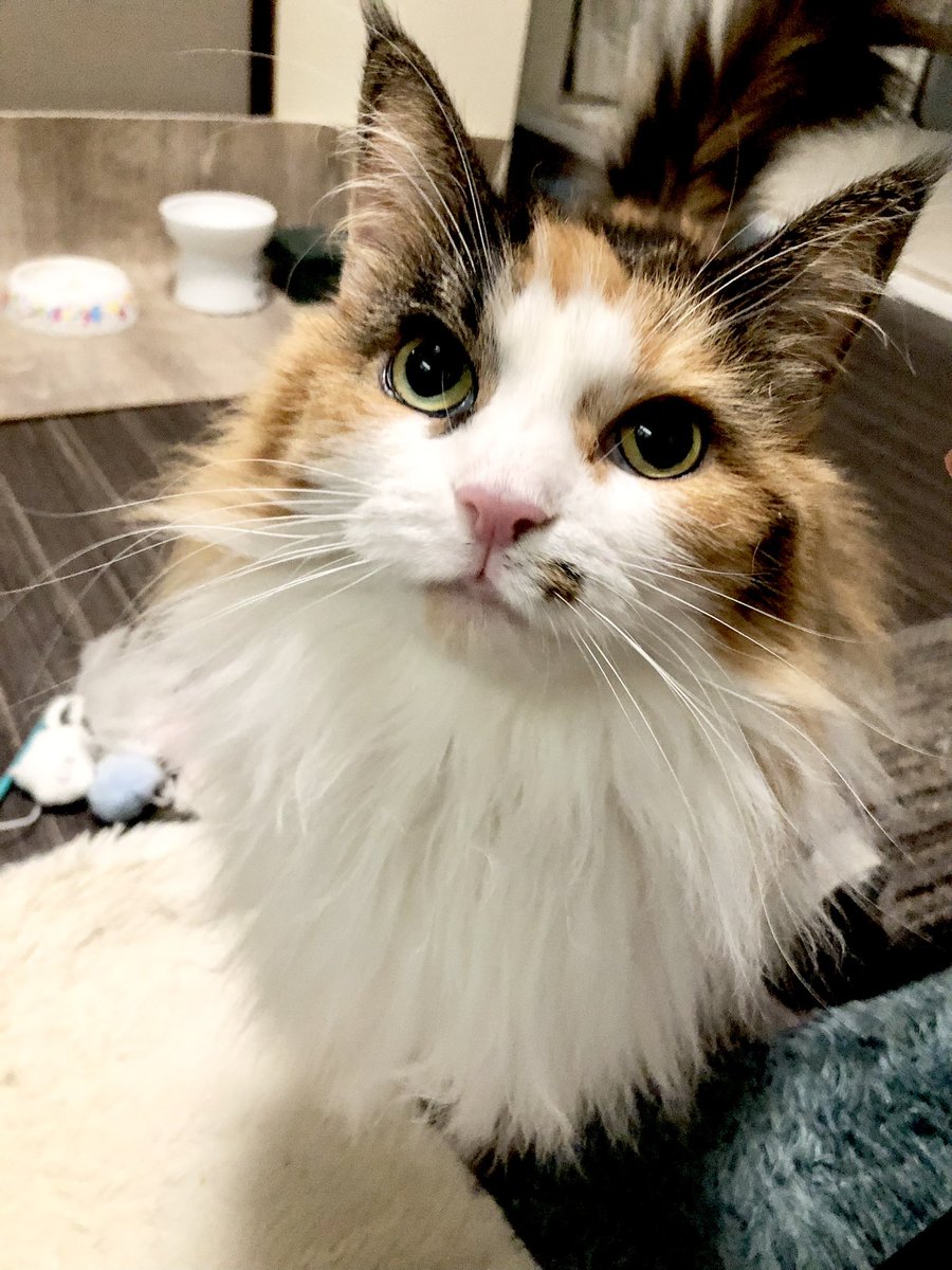 ヨッシー (@AOGSDkw5Qmr1X51) / X