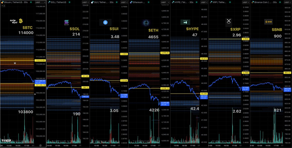 Chart showing liquidation levels for BTC, SOL, SUI, SETH, HYPE, XRP, and BNB with yellow support lines