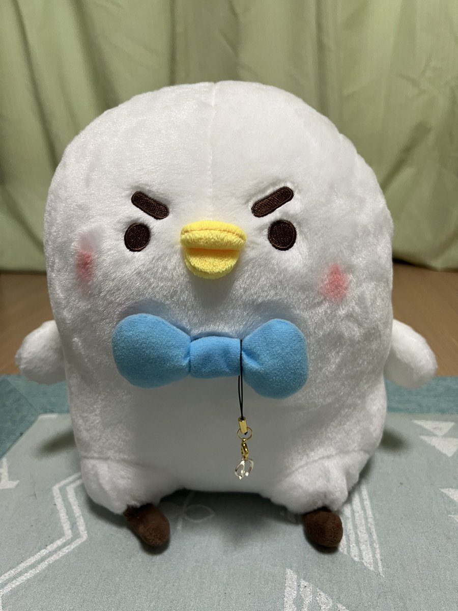 D「おはぴちゅですー。くらげん、お団子食べよう」
急に何だね。
D「お月見お月見」